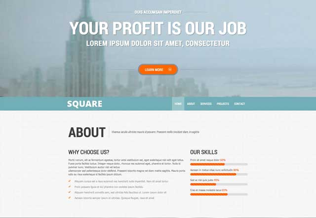 響應式網(wǎng)站視覺模板