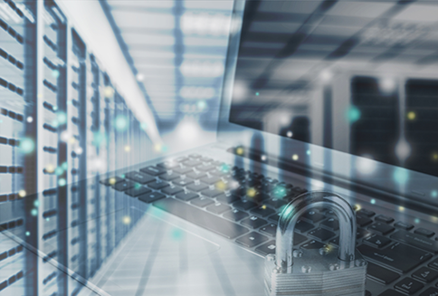 成都定制網站開發(fā)